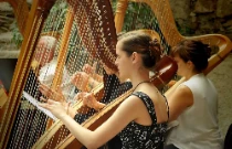 Harpistes